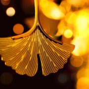 Evgl.Kirchengemeinde-Essen-Bedingrade-Schoenebeck-Goldzwanziger