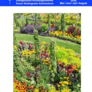 Evgl.Kirchengemeinde-Essen-Bedingrade-Schoenebeck-Gemeindebrief_05_06_07_08_2026